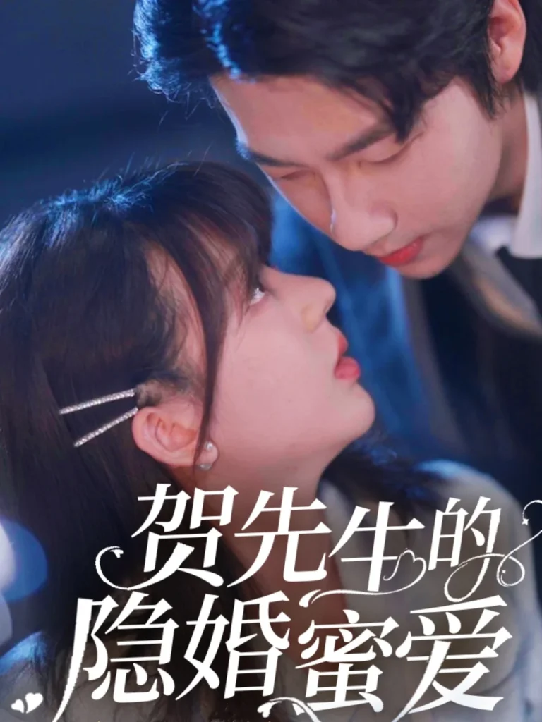 贺先生的隐婚蜜爱