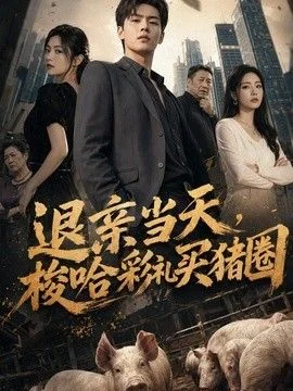 退亲当天，梭哈彩礼买猪圈